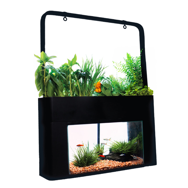 Aquariums & Tanks | The Fish Factory