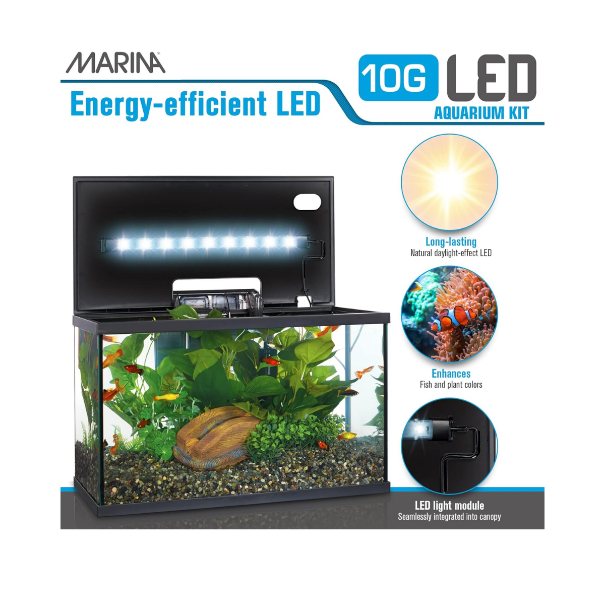 Tank Marina Led Kit (10 Gal) | The Fish Factory Tank Marina Led Kit (10 Gal) | The Fish Factory