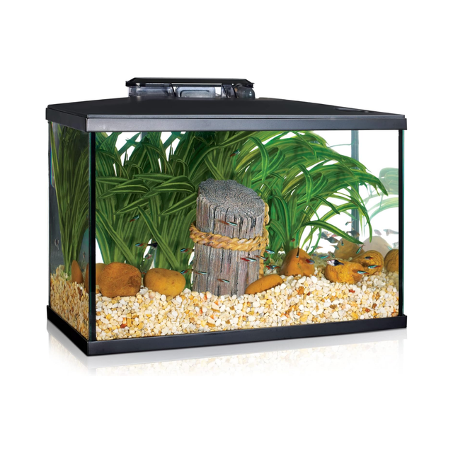 Aquariums & Tanks | The Fish Factory