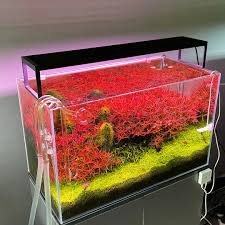 Chihiros WRGBⅡ slim 60 Light Chihiros Light Led Slim 60 | The Fish Factory