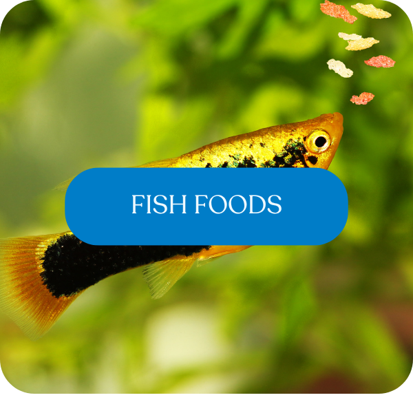 Fish Foods | The Fish Factory