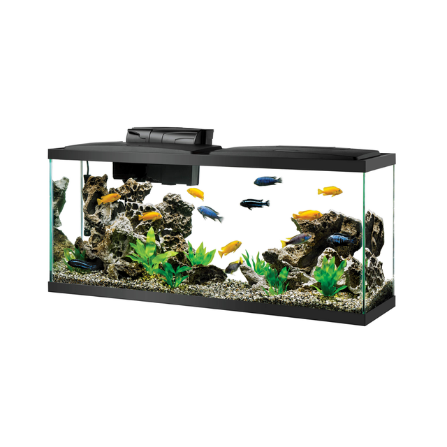 Aquariums & Tanks | The Fish Factory