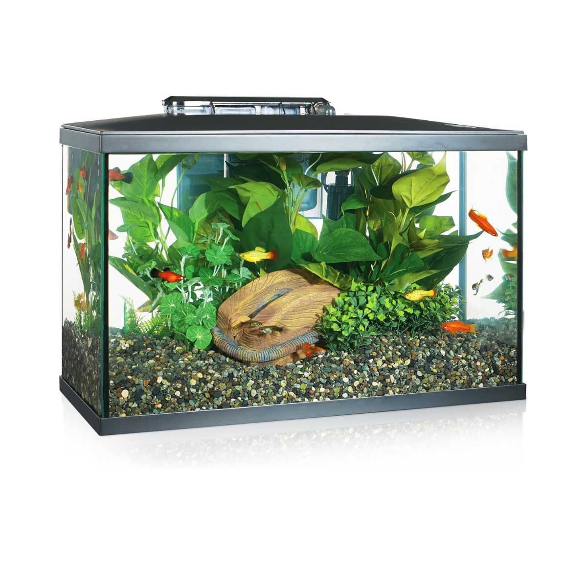 10-gal fish tank w accessories Tank Marina Led Kit (10 Gal)