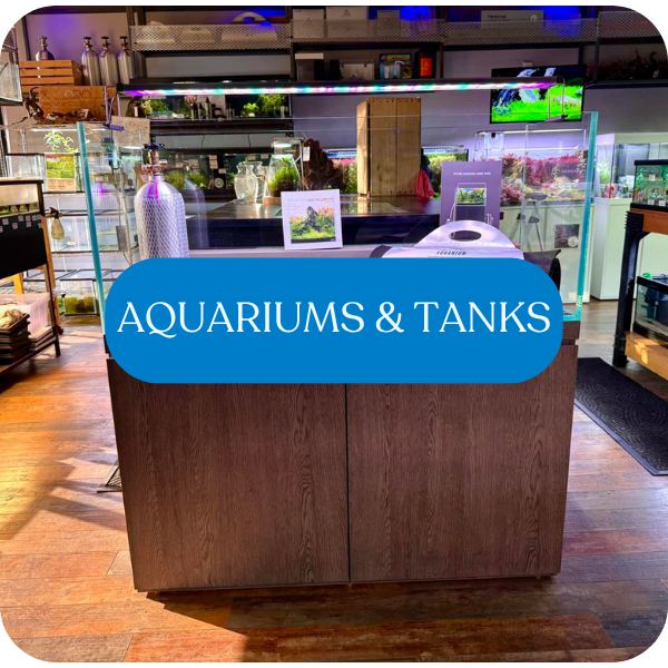 Aquariums & Tanks | The Fish Factory