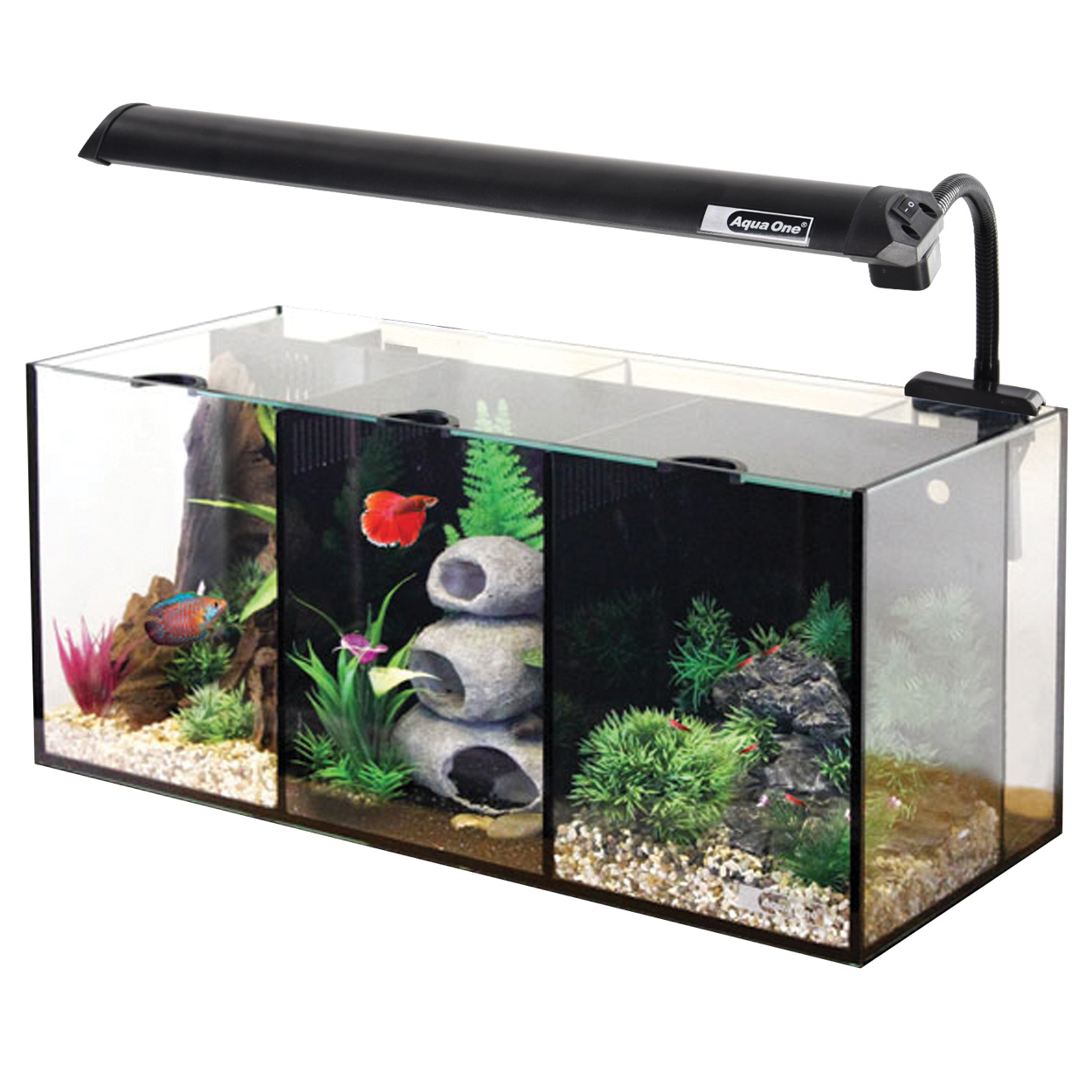 Tank Aqua One Betta | The Fish Factory