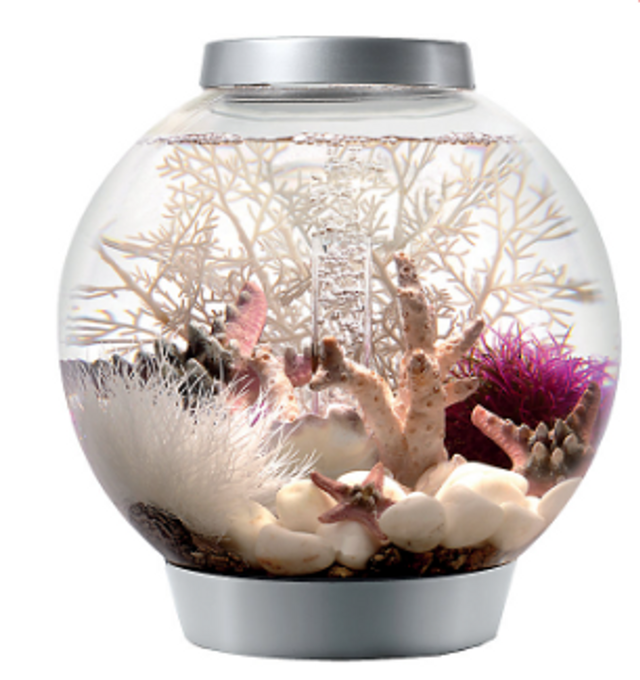 Aquariums & Tanks | The Fish Factory